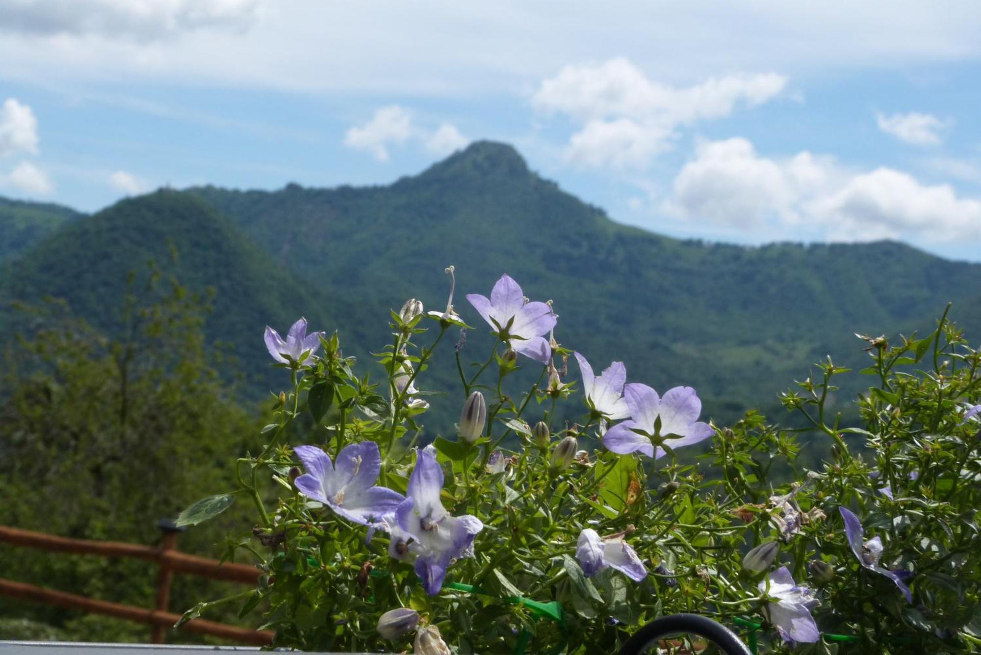 Giardino Tra I Laghi Bed and Breakfast San Fedele Intelvi Εξωτερικό φωτογραφία